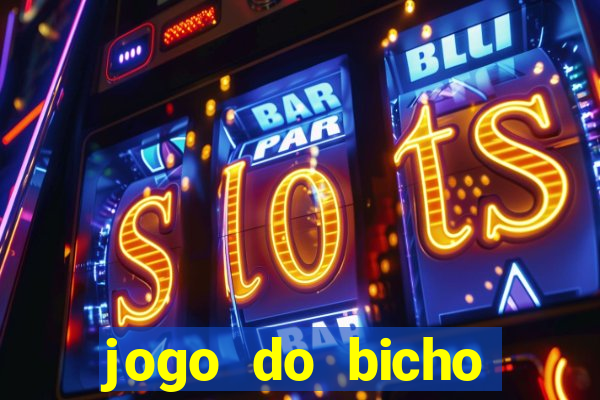 jogo do bicho crash bingo